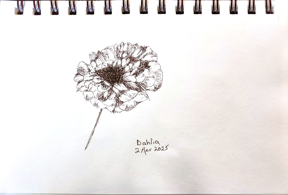 Next Picture